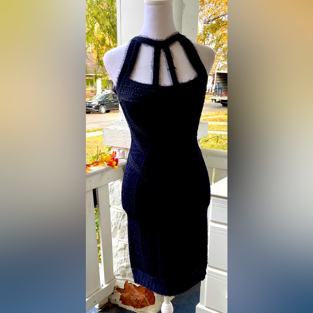 Herve Leger dress